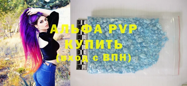 PSILOCYBIN Аркадак