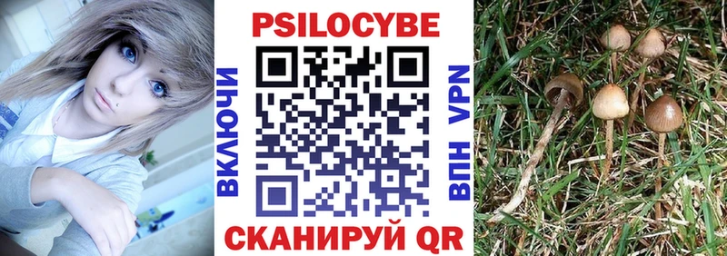 Псилоцибиновые грибы Magic Shrooms  МЕГА вход  Сясьстрой  наркотики 